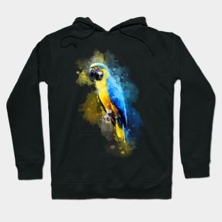 Parrot watercolor Hoodie